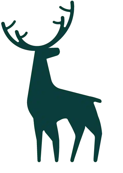 Forest Wealth